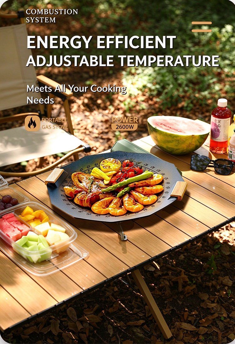 Portable Folding Camping Gas Stove